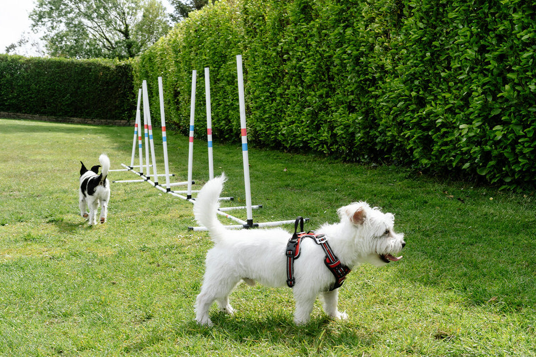 Padstow caravan holiday park