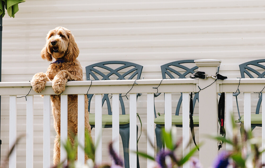Golden Beach Holiday Park