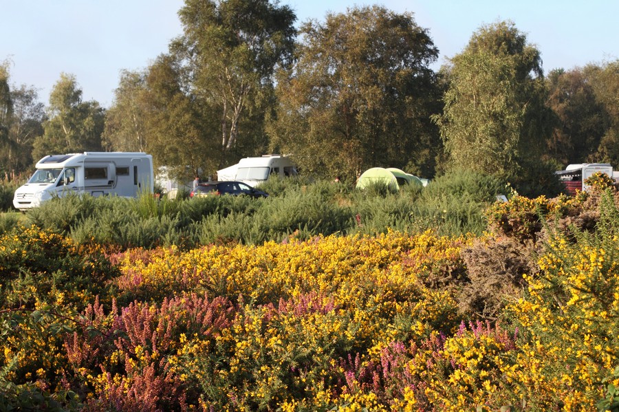 Kelling Heath Holiday Park