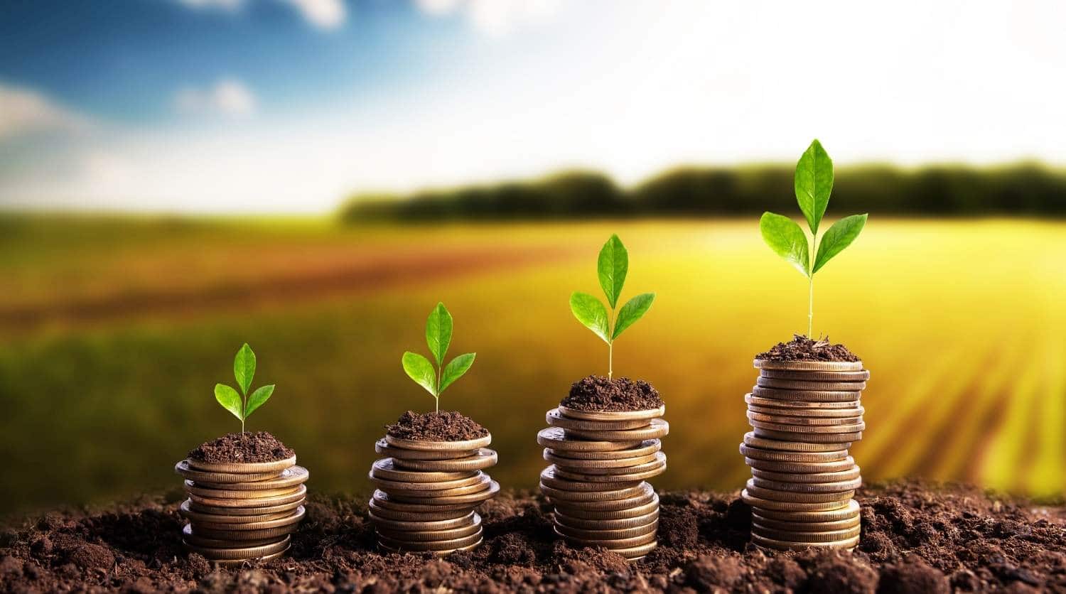 Make Your Land Make YOU Money