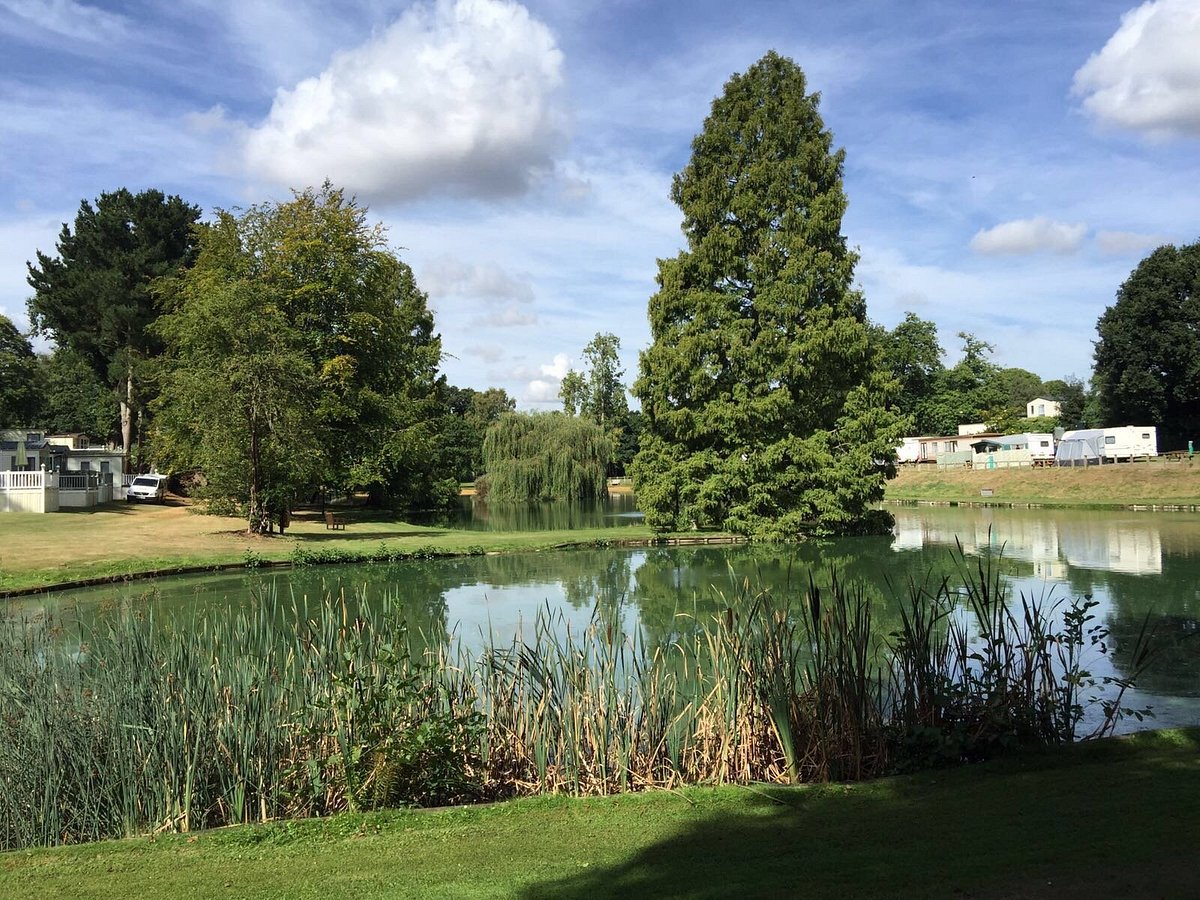 Moon & Sixpence Holiday Park