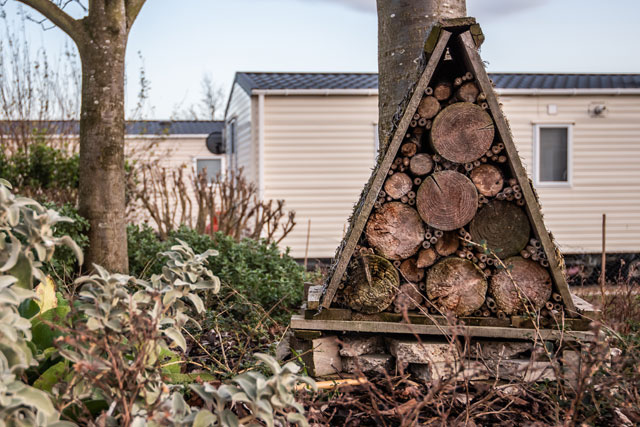 Pinewoods Caravan Park