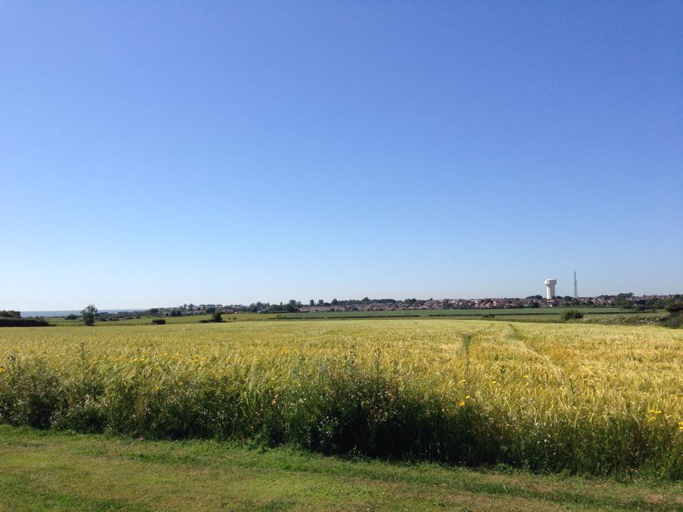 Tuddenham Caravan Park