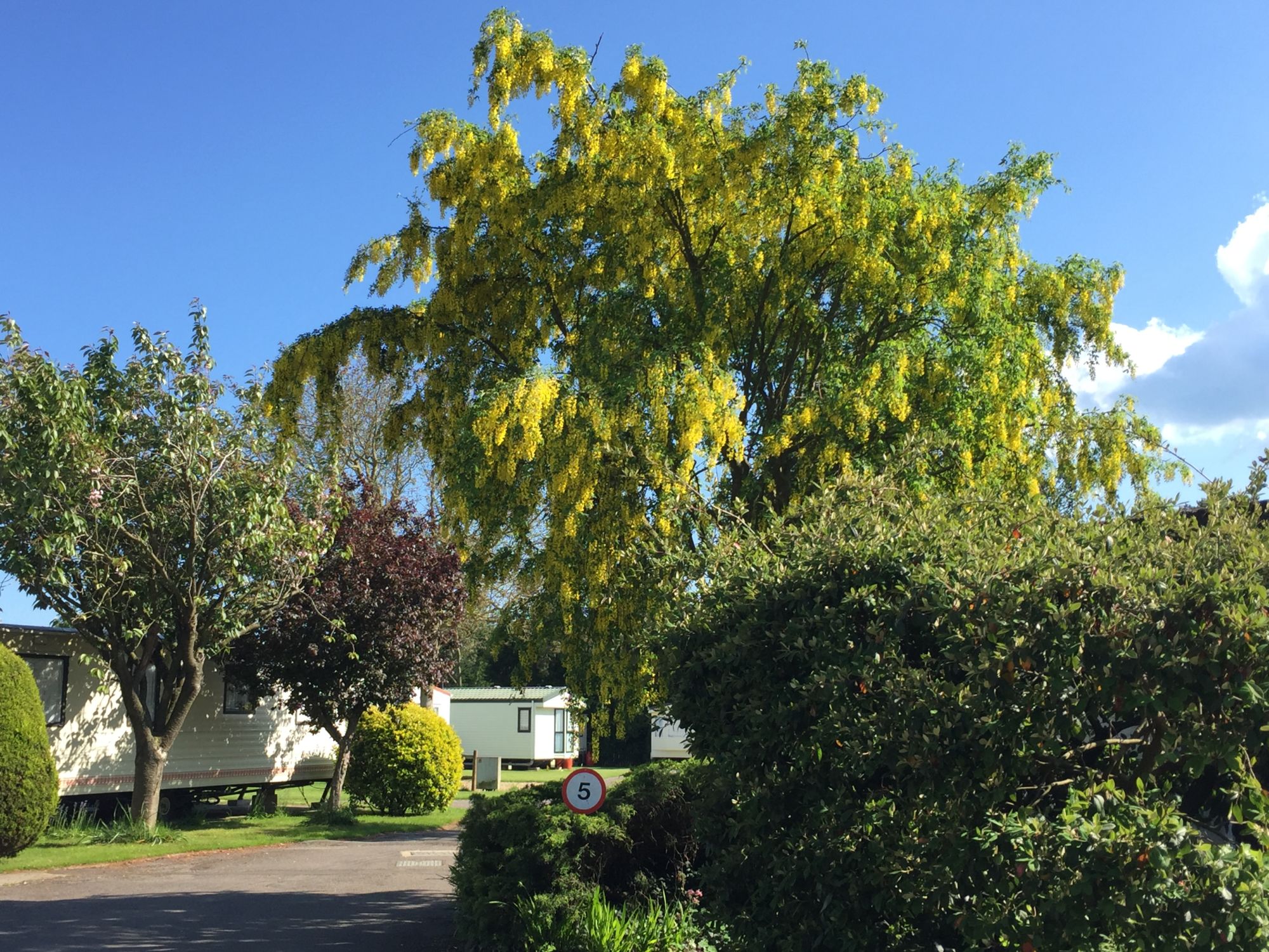 Wandleys Lane Caravan Park
