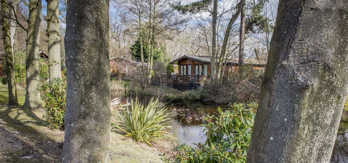 Cliff House Holiday Park