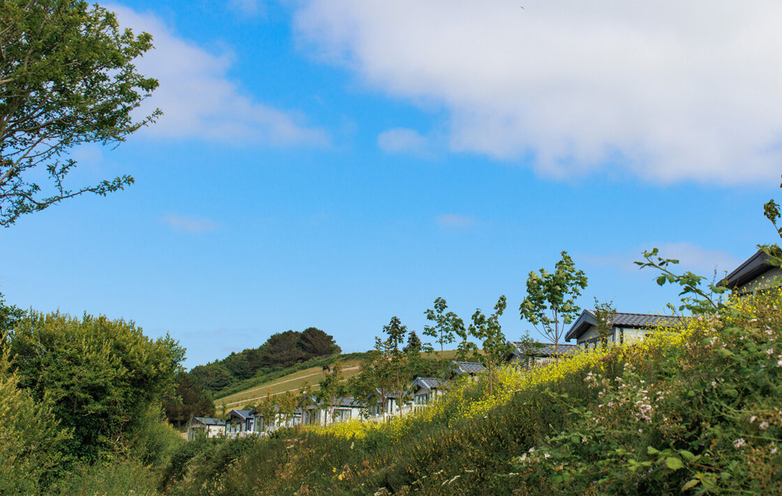 Sun Haven Holiday Park